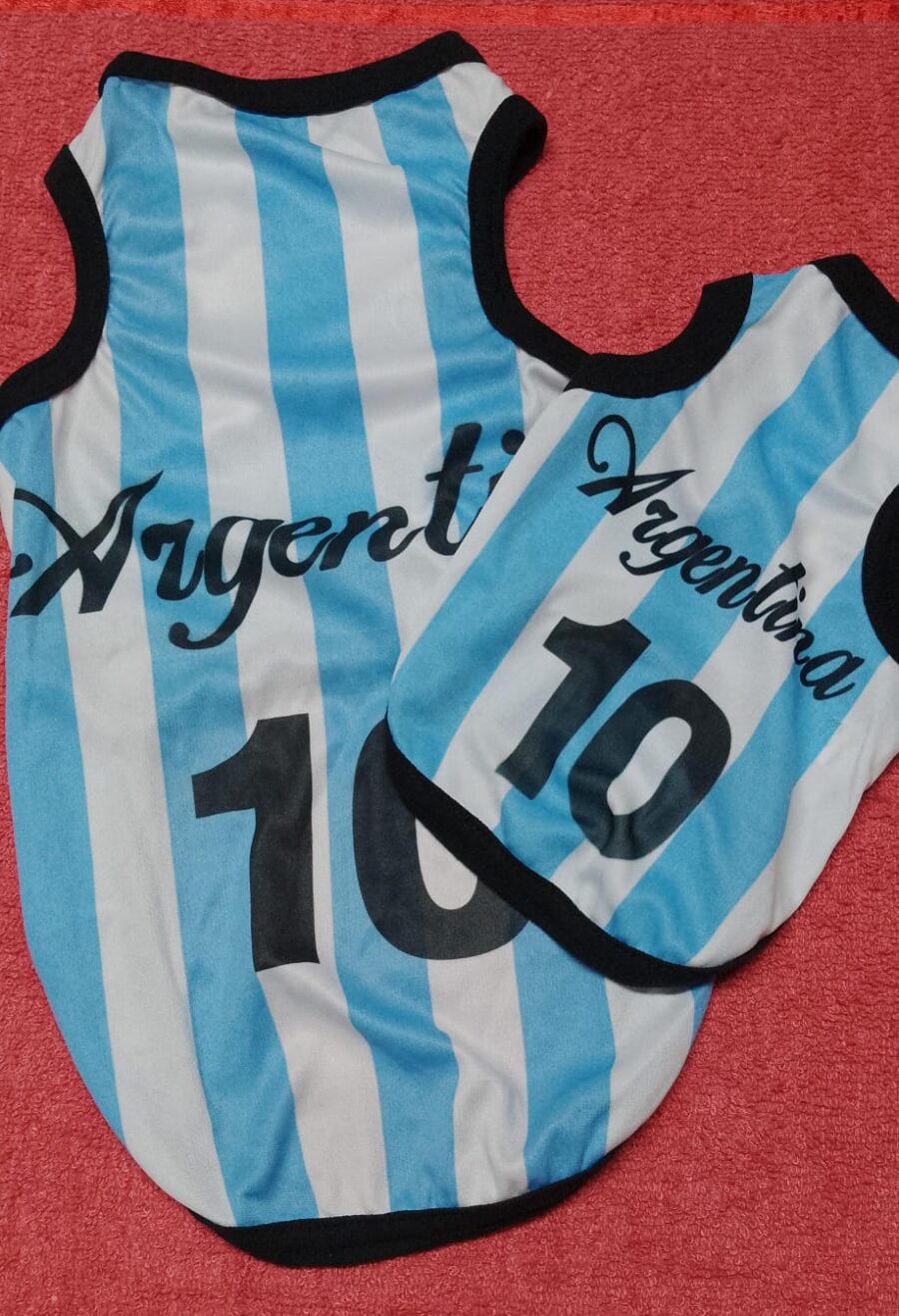Camiseta de Argentina