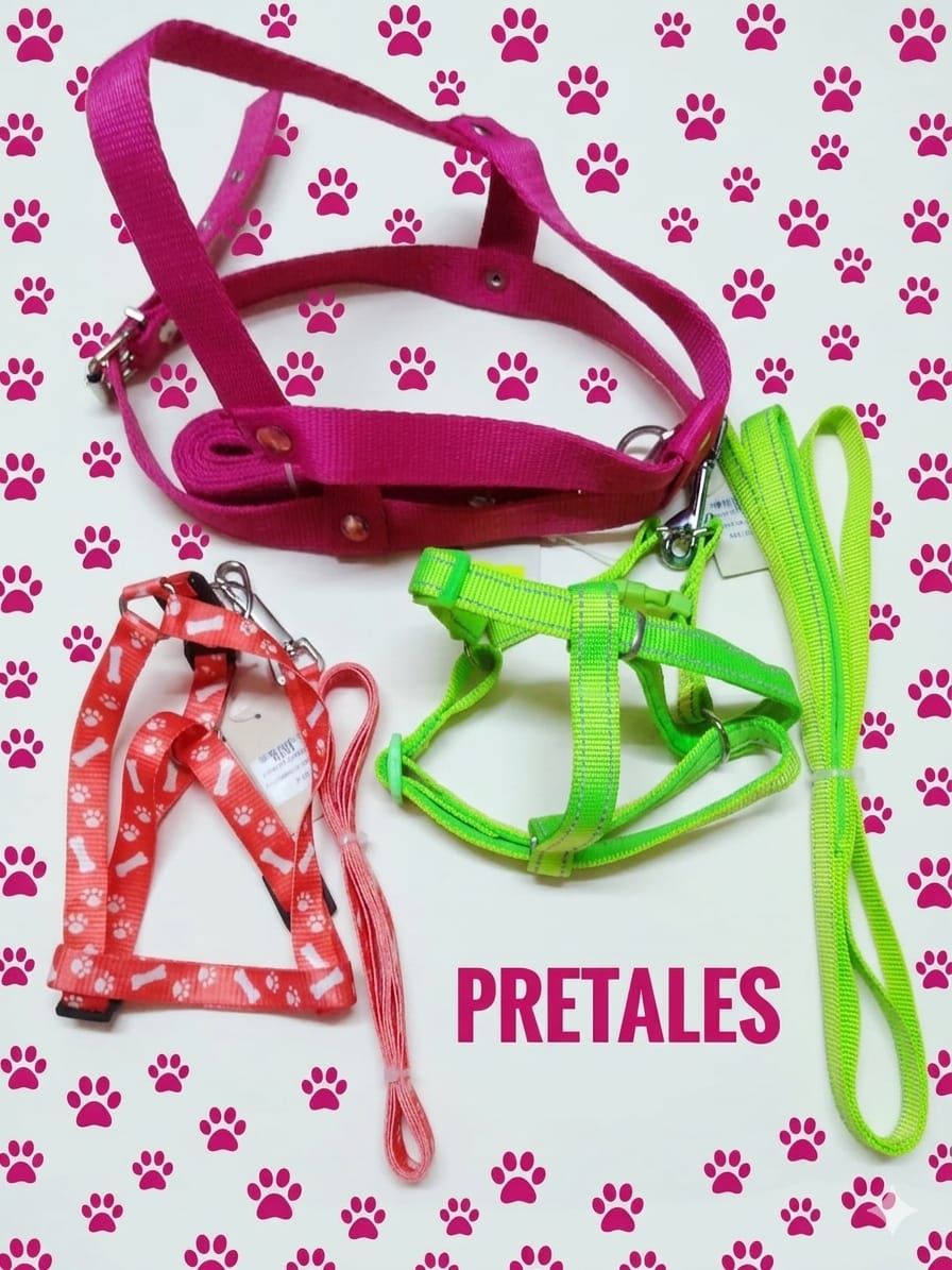 Arnés para mascotas